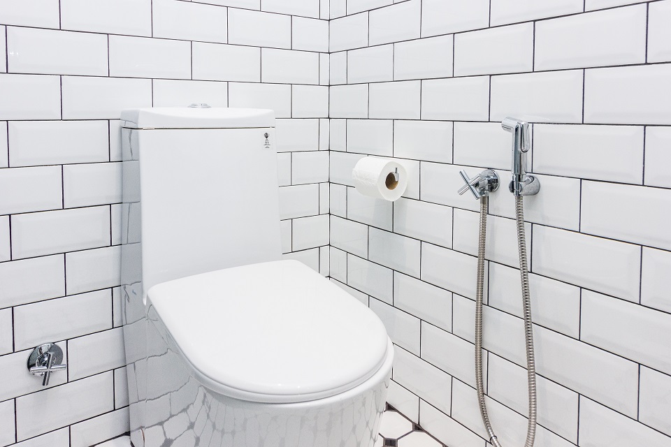 R202 4349 Toilet Bowl Not Align